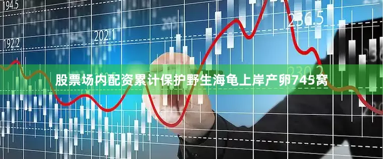 股票场内配资累计保护野生海龟上岸产卵745窝