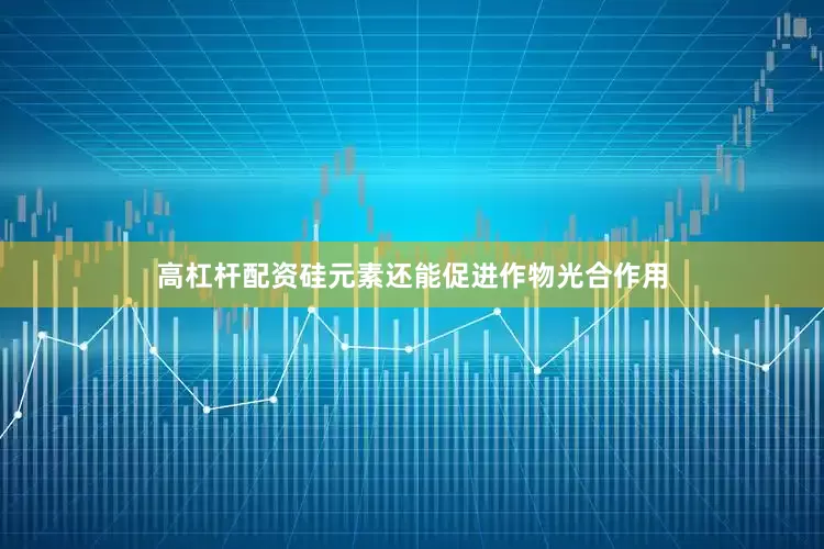 高杠杆配资硅元素还能促进作物光合作用